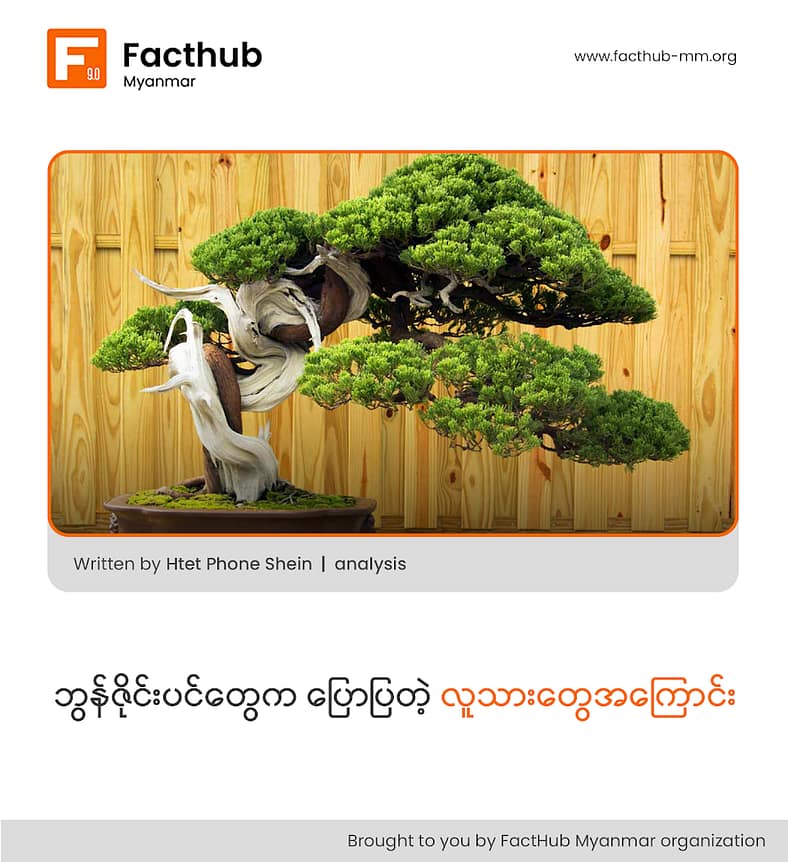 “ဘွန်ဇိုင်းပင်တွေက ပြောပြတဲ့ လူသားတွေအကြောင်း”