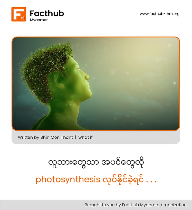” လူသားတွေသာ အပင်တွေလို photosynthesis လုပ်နိုင်ခဲ့ရင် . . . ” ” လူသားတွေသာ အပင်တွေလို photosynthesis လုပ်နိုင်ခဲ့ရင် . . . ”