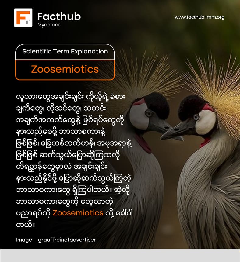 Zoosemiotics ဆိုတဲ့ စကားလုံးကို သိပါသလား . . . ?